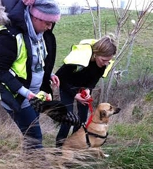 KÖPEĞİM OLMADAN ASLA UÇMAM..!