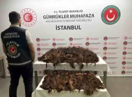 İSTANBUL’DAKİ HAVALİMANLARINDA İNSAN SAÇI OPERASYONU